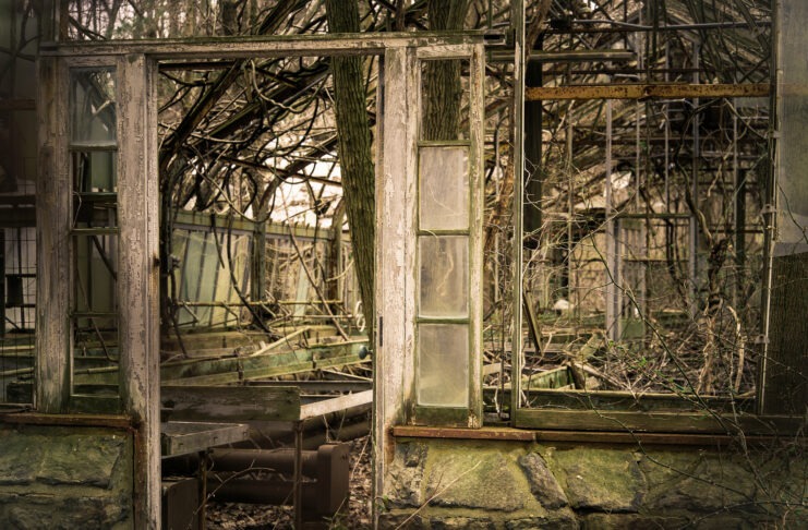 Glasshouse. Foto: taget 1. marts 2013 af Phanatic. (CC BY-NC 2.0).