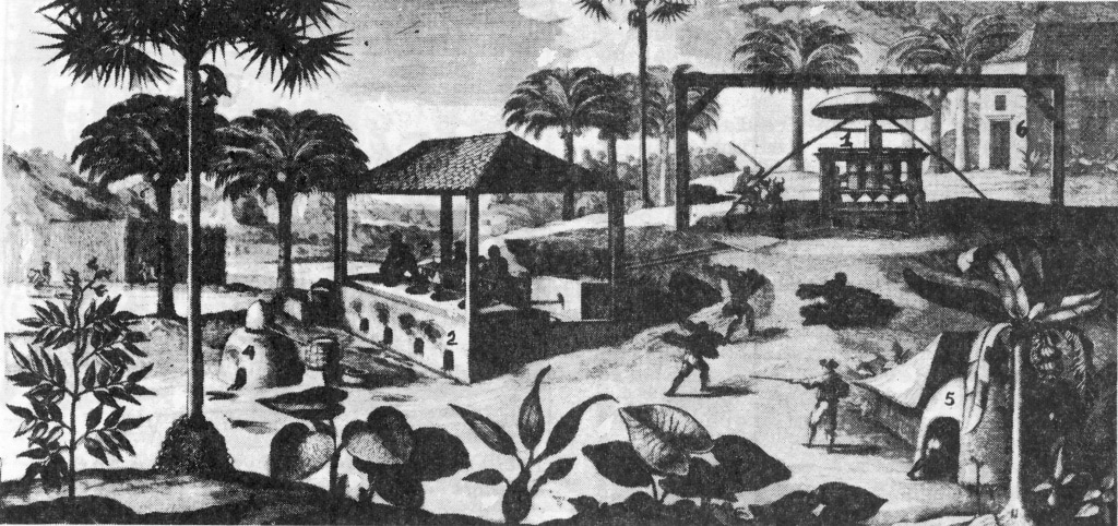 Sukker plantage på Antillerne. Den oksetrukne mølle (1) kværner sukkerrørene. Indkogningen sker i kedler (2), hvorefter sukkermelassen kommes i forme (3). Den sukkersaft, som er blevet sur, brygges til eddike (4). I forgrunden ses slavehytter (5), men arbejderboligen (6) ses i baggrunden. Stik fra 1667.