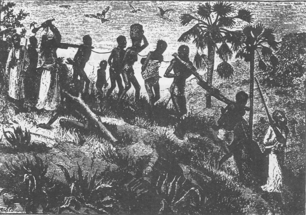 Import af menneskelig arbejdskraft har været en væsentlig forudsætning for Nordamerikas udvikling til verdens førende imperialistmagt. Slavehandelen med afrikanere var blot en af de mange former, denne import har antaget i en tidlig periode i Nordamerikas moderne udvikling.